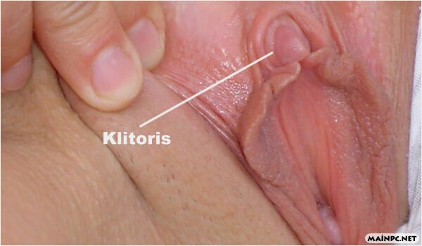 Klitoris Nedir