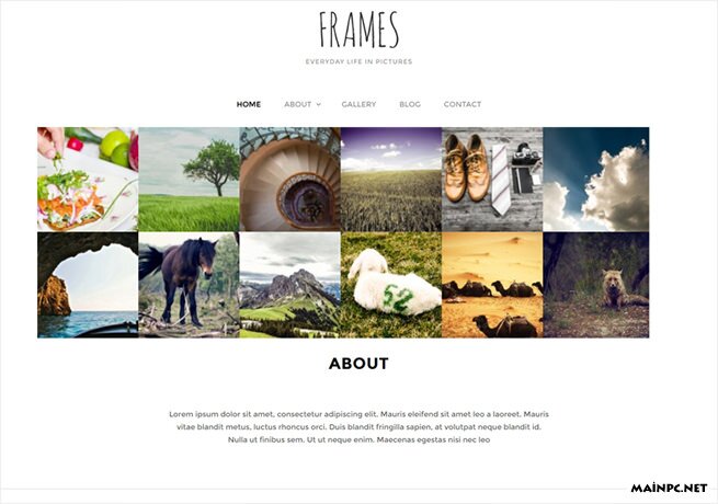 frames-theme