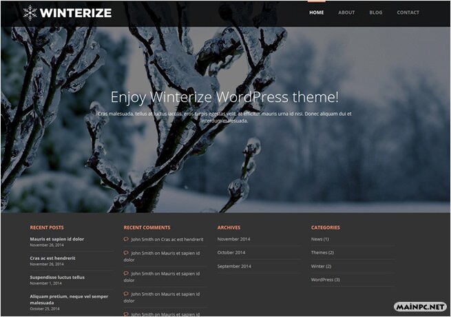 winterize theme