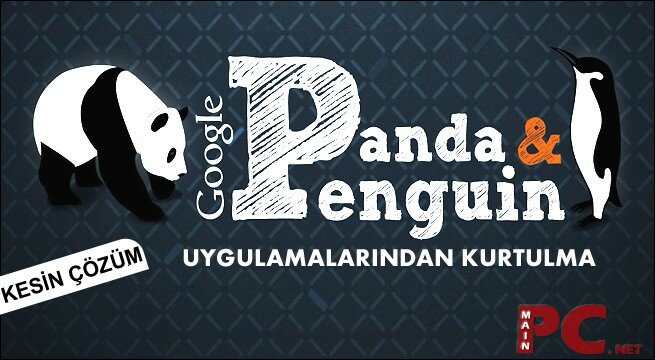 google penguen ve panda uygulamasi