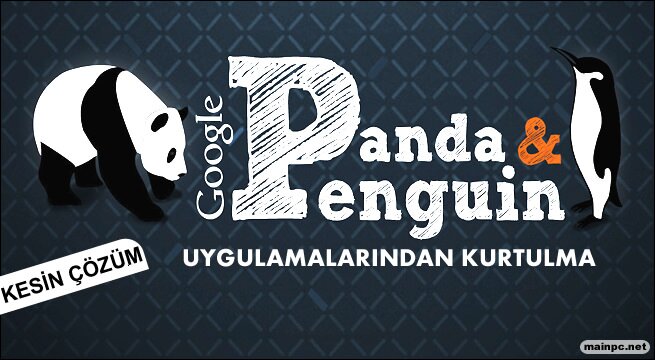 google penguen ve panda uygulamasi