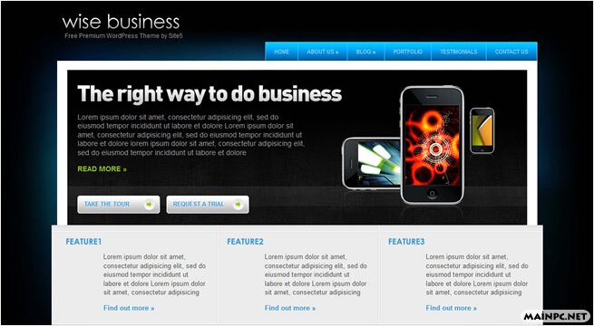 wisebusiness theme