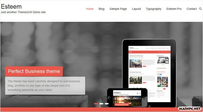 Esteem Theme