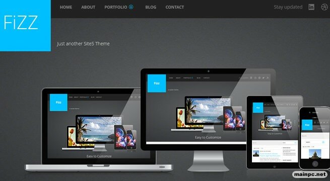 wordpress temasi fizz theme