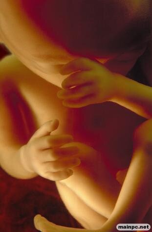 hamilelik 20 21 hafta