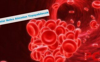 Permanent Link to İnsanlar Nefes Almadan Yaşayabilecek kan