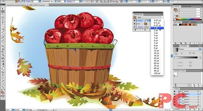 adobe-illustrator-indir